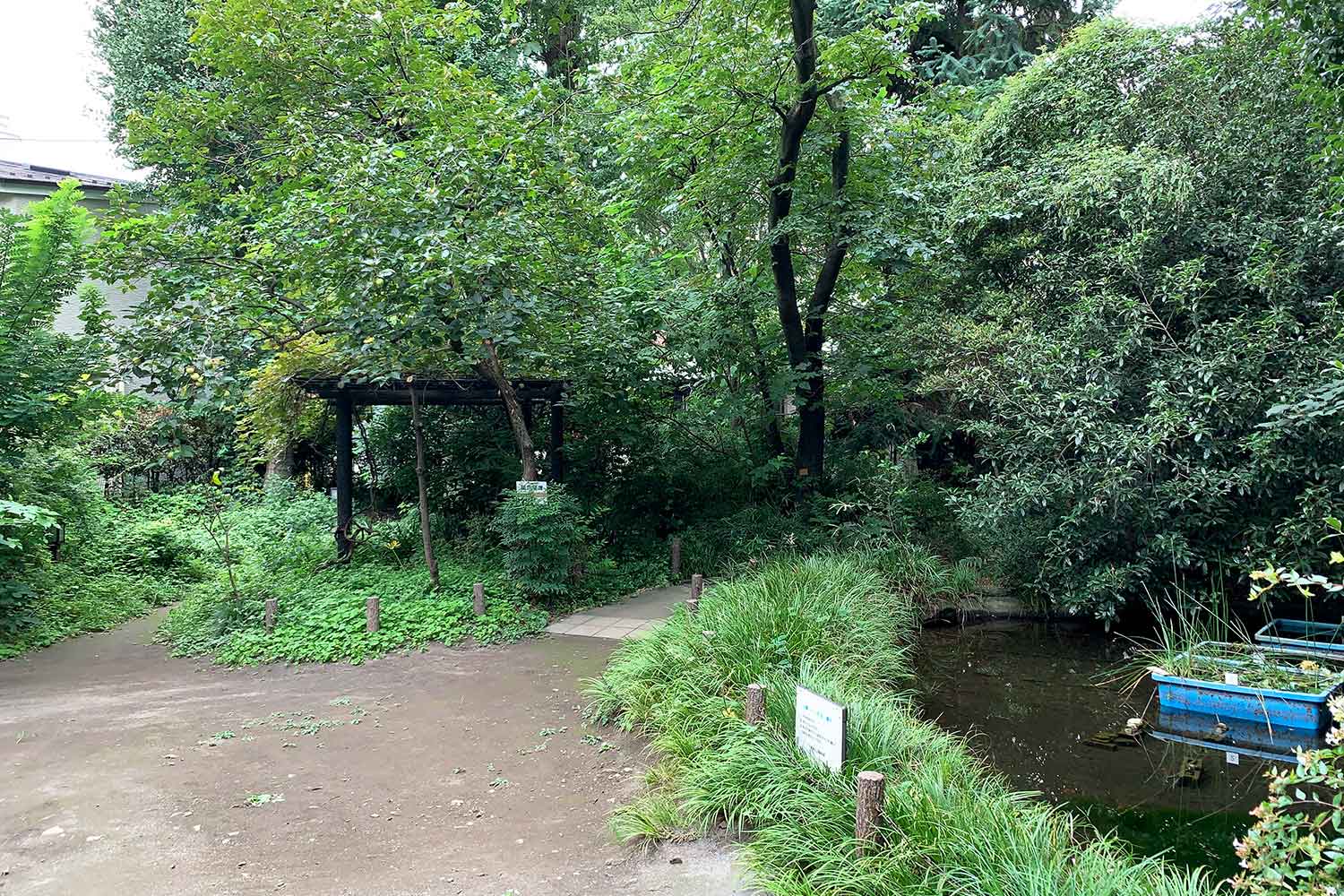 豊島区立 池袋の森